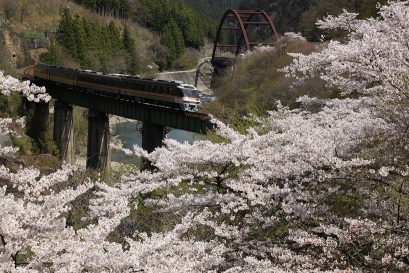 ワイドビューひだ