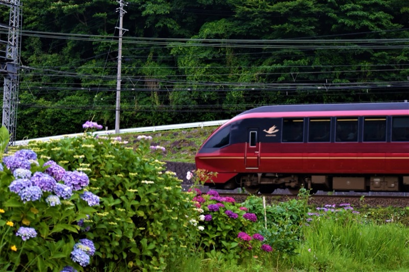 ひのとりプレミアムシート